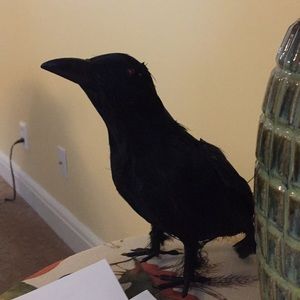 Meet your Posher, Polly